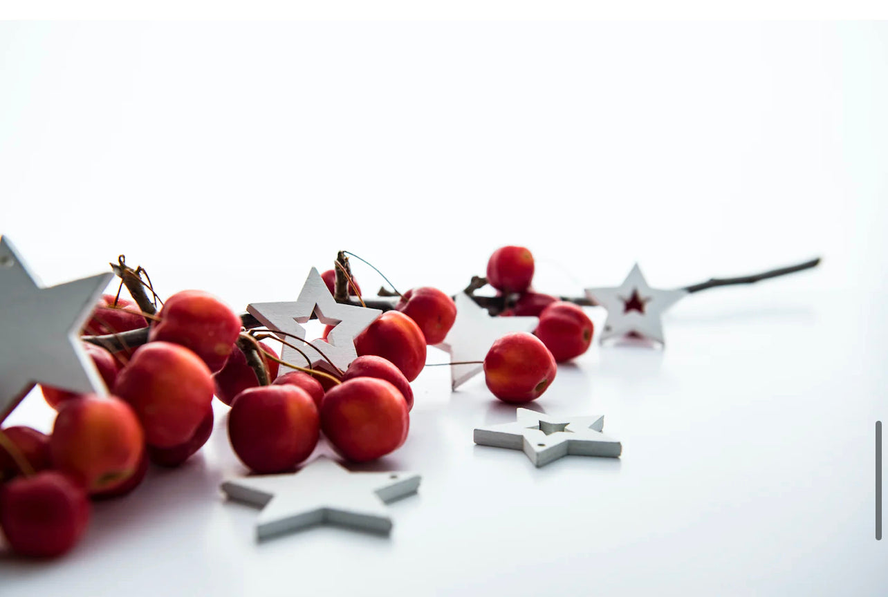 Private Corporate work Christmas party’s