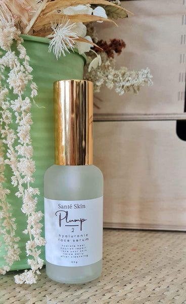 Online Skin Care Workshop Hyaluronic Organic Skincare
