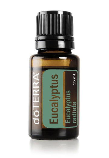 Eucalyptus  Oils Eucalyptus radiata