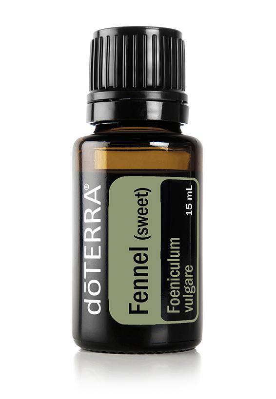 Fennel (Sweet)  Foeniculum vulgare