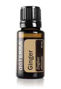 Ginger  Zingiber officinale