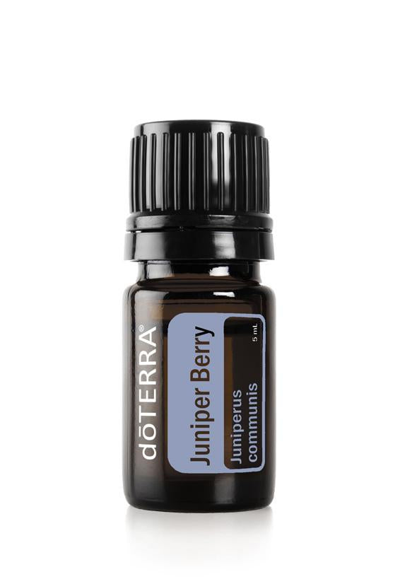 Juniper Berry  Juniperus communis