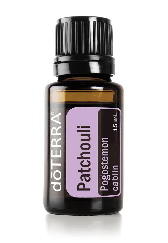 Patchouli  Pogostemon cablin