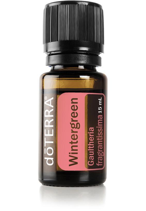 Wintergreen (Nepalese)  Gaultheria fragrantissima