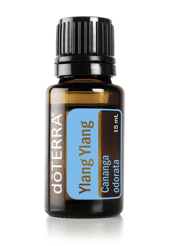 Ylang Ylang  Cananga odorata